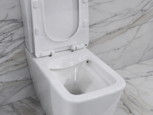 Tualet Banyetti Imperia me depozitë dhe kapak soft-close