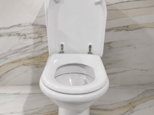 WC monobllok i bardhë me depozitë dhe kapak