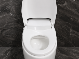Tualet inteligjent monobllok me bidet të integruar