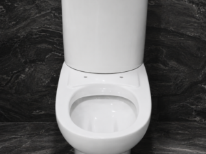 WC monobllok ISVEA i bardhë me rezervuar